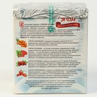 Подарочный набор сиропов Зимние ягоды, 4 шт. по 100 мл - Фото 3