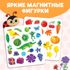 Магнитная книжка-игрушка «Учим цвета», 8 стр. - Фото 3