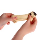 Тянущаяся игрушка-антистресс «Собака», с песком, в шоубоксе - Фото 4