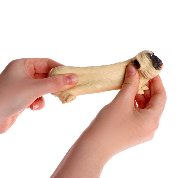 Тянущаяся игрушка-антистресс «Собака», с песком, в шоубоксе - фото 1900044984