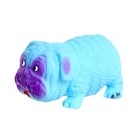 Тянущаяся игрушка-антистресс «Собака», с песком, цвета МИКС, в шоубоксе - Фото 3