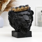 Копилка "Лев в короне" черный с золотом, 26см - фото 9758211