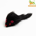 Игрушка для кошек "Мышь малая", 5 см, чёрная - фото 6526453