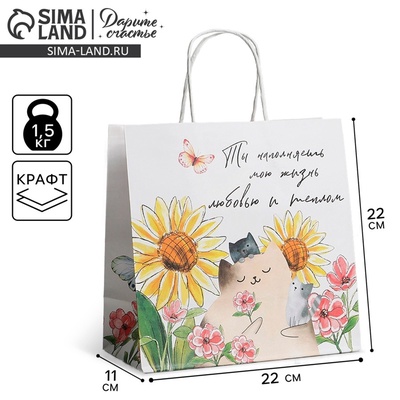 Пакет подарочный, упаковка, «Тепло», 22×22×11 см