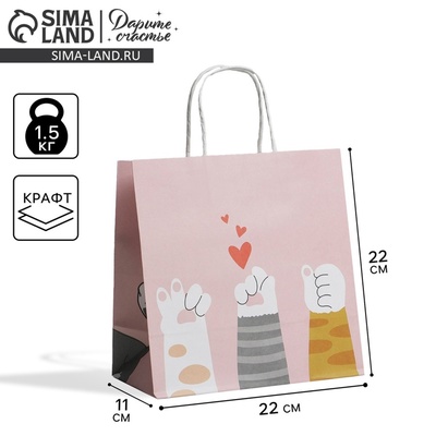Пакет подарочный, упаковка, «Киса», 22×22×11 см