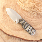 Нож охотничий "Сафари" 16,7см, клинок 68мм/4мм, коричневый - фото 4649636