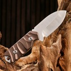 Нож охотничий "Сафари" 15см, клинок 68мм/4мм, микс - Фото 3