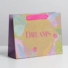Пакет подарочный крафтовый, упаковка, «Dreams», 22 х 17,5 х 8 см - фото 9890329