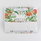 Пакет ламинированный «Для тебя» 22 × 17,5 × 8 см - фото 804702101