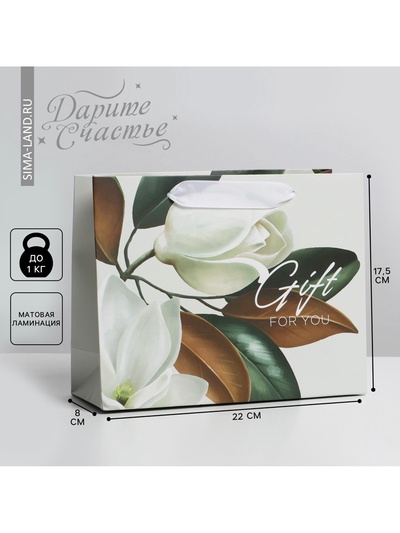 Пакет подарочный ламинированный, упаковка, «Подарок» 22×17.5×8 см