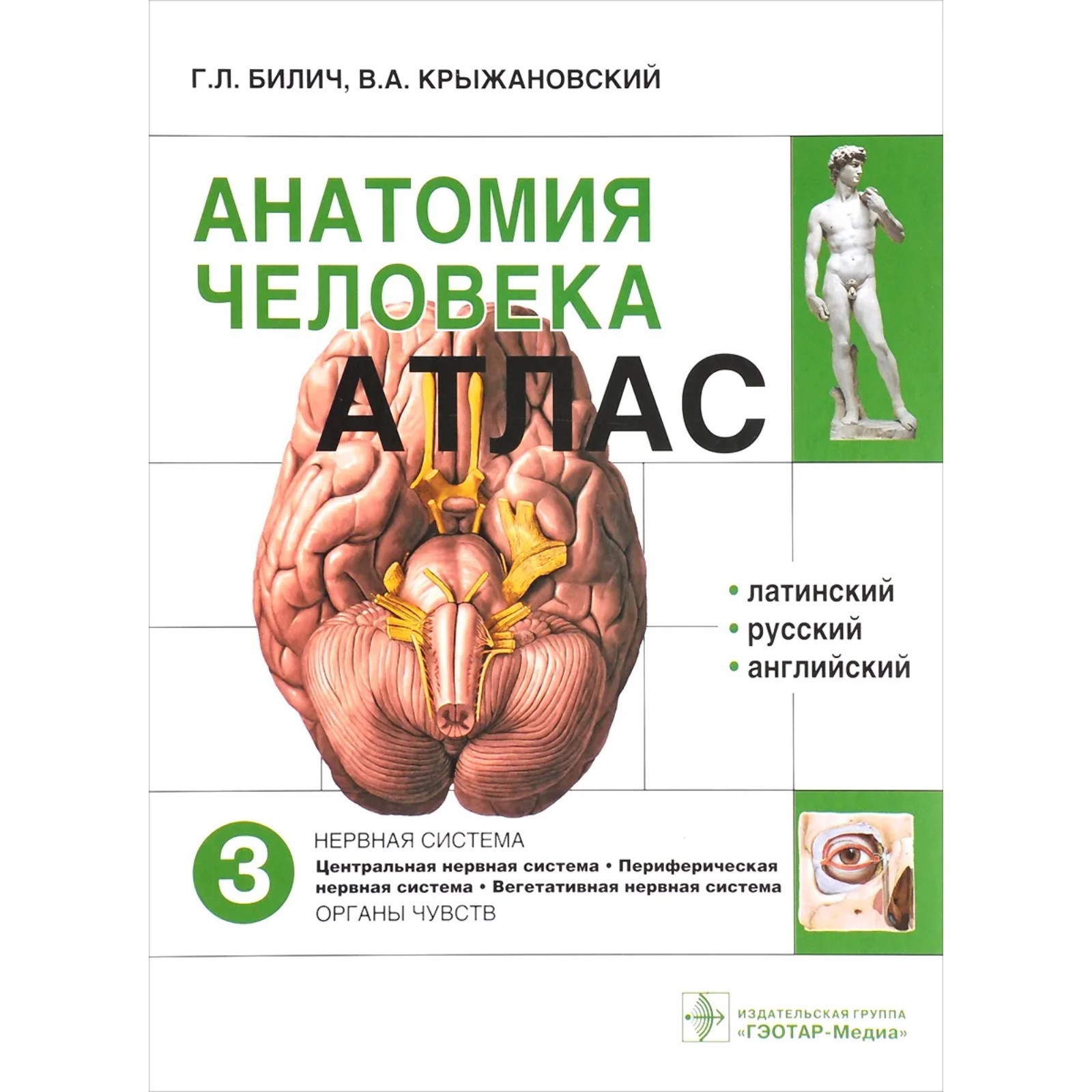 Анатомия человека. Атлас. Том 3. В 3-х томах. Билич Г., Крыжановский В ...