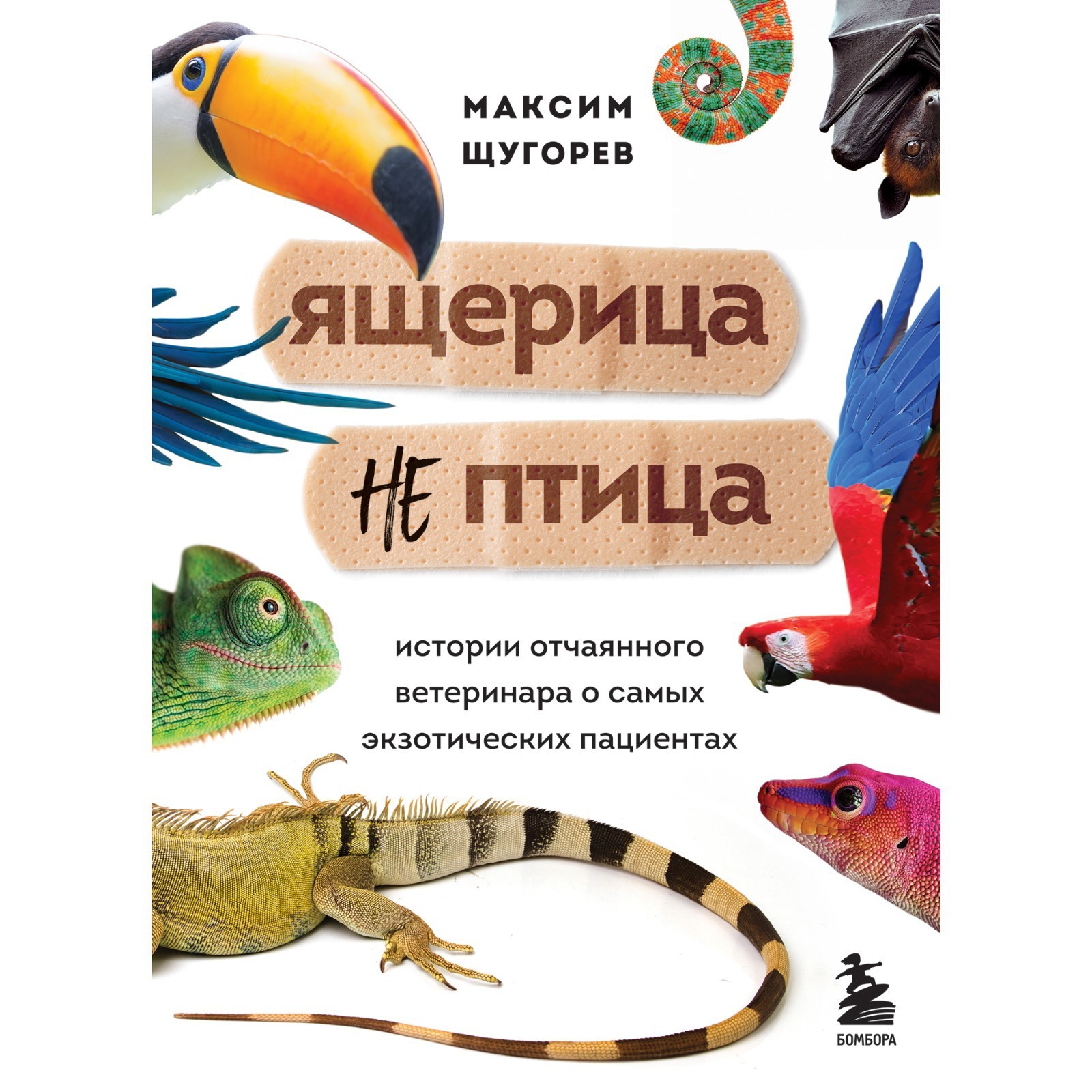 Ящерица не птица. Истории отчаянного ветеринара о самых экзотических  пациентах. Щугорев М.А.