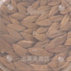 Контейнер пищевой Доляна «Тропики», 400 мл, квадратный, цвет розовый - фото 25478041