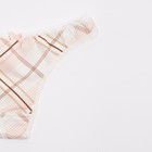 Трусы женские, цвет МИКС, размер 50-52 (2XL) - фото 43719010