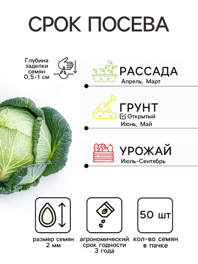 Семена Капуста пекинская «Ча-ча», F1, 50 шт., «Русский огород»