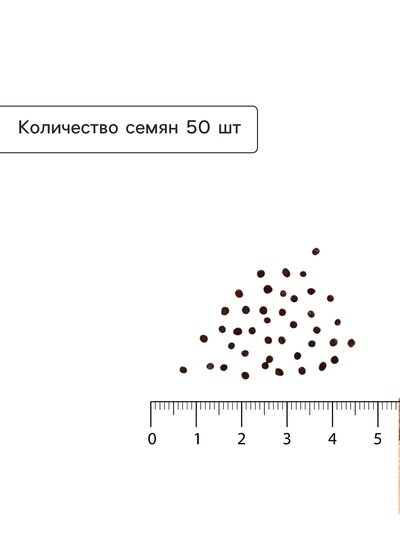 Семена Капуста пекинская «Ча-ча», F1, 50 шт., «Русский огород»