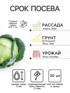 Семена Капуста пекинская «Ча-ча», F1, 30 шт., «Русский огород» - Фото 2