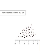 Семена Капуста пекинская «Ча-ча», F1, 30 шт., «Русский огород» - Фото 4