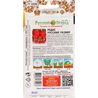 Семена Редис "Русский размер", 200 шт - Фото 2