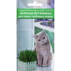 Семена Смесь "Зеленые витамины для кошек", 10 г - фото 318752903