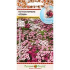 Семена цветов Остеоспермум "Пэшн", смесь, 15 шт - Фото 1