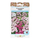 Семена цветов Остеоспермум "Пэшн", смесь, 15 шт - фото 25269526