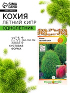 Семена цветов Кохия "Летний Кипр", 0,3 г - Фото 1