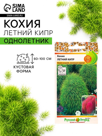 Семена цветов Кохия "Летний Кипр", 0,3 г