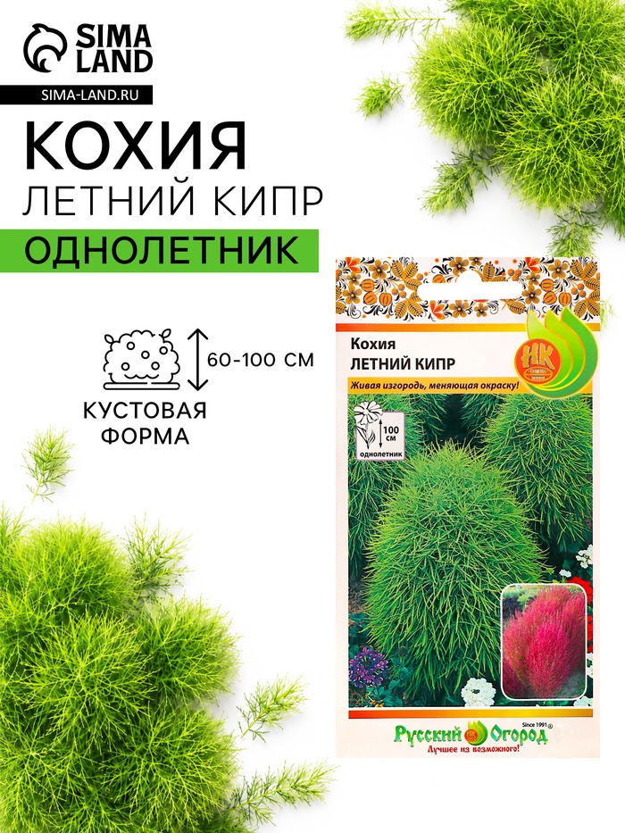 Семена цветов Кохия "Летний Кипр", 0,3 г - Фото 1