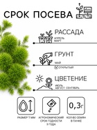 Семена цветов Кохия "Летний Кипр", 0,3 г - Фото 2