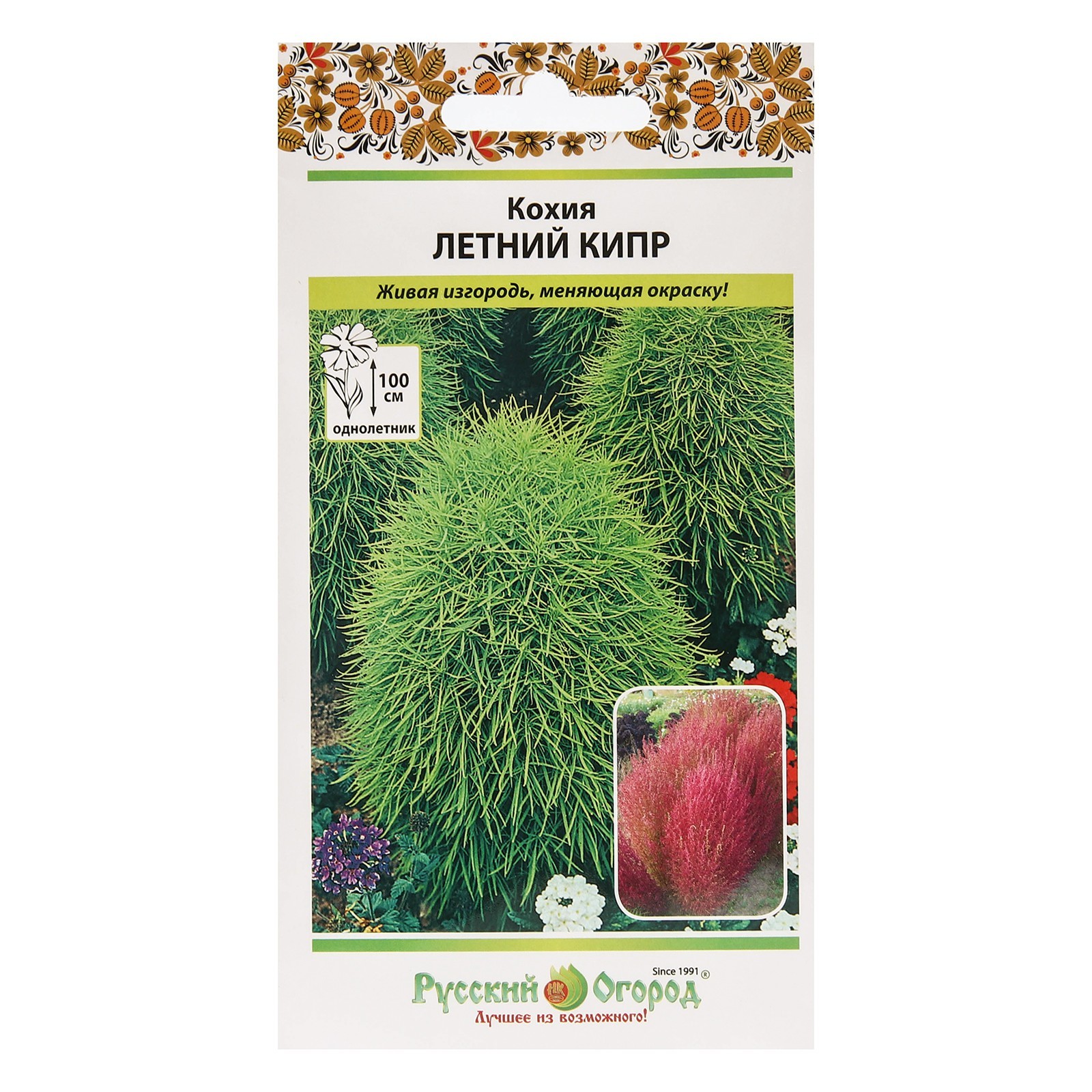 Семена кохия пламя