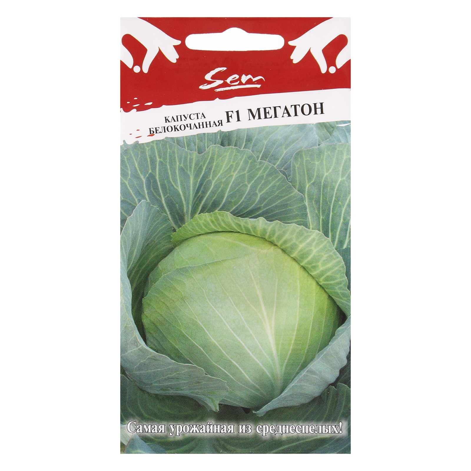 Семена капусты белокочанной мегатон. Капуста мегатон семена. Капуста б/к мегатон f1 ар. Капуста мегатон когда убирать. Среднепоздний гибрид мегатон капуста.