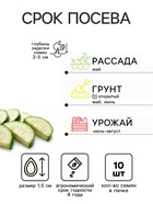 Семена Кабачок «Колобок», 10 шт., «Русский огород» - Фото 2