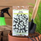 Семена Фасоль кустовая "Инь-Ян", 5 г - Фото 1