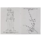 Раскраска перевертыш 2 в1 «Привет, я Леди Баг. Привет, я Маринетт. Леди Баг и Супер Кот» - Фото 4