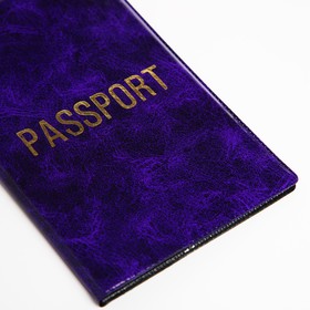 Обложка для паспорта, цвет МИКС