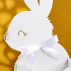 Кашпо деревянное "Зайка" 13х7,5х22 см белый - фото 24381271