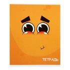 Комплект тетрадей из 10 штук (5 видов по 2 штуки), 48 листов в клетку Calligrata «Смайлики», обложка мелованный картон, блок офсет - Фото 6