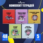 Комплект тетрадей из 5 штук, 48 листов в клетку Calligrata «Дерзкий енот», обложка мелованный картон, блок офсет - Фото 1
