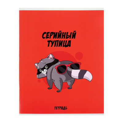 Комплект тетрадей из 5 штук, 48 листов в клетку Calligrata «Дерзкий енот», обложка мелованный картон, блок офсет
