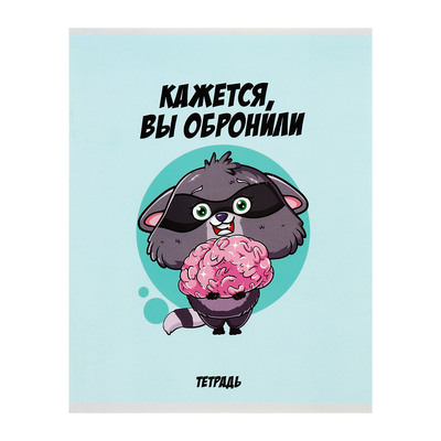 Комплект тетрадей из 5 штук, 48 листов в клетку Calligrata «Дерзкий енот», обложка мелованный картон, блок офсет