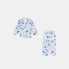 Пижама детская из фланели (рубашка, брюки) KAFTAN "Дино", размер 110-116, голубой - фото 26406681