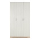 Шкаф прямой трёхстворчатый «Клик Мебель. Бася - 1», 1200×560×2100 мм, цвет дуб сонома/ясень анкор светлый - Фото 3