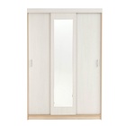 Шкаф – купе «Клик Мебель. Бася – 1», 2100×560×1400 мм, цвет дуб сонома/ясень анкор светлый - Фото 3