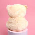 Мягкая игрушка «Моей милой», медведь, цвета МИКС - Фото 4