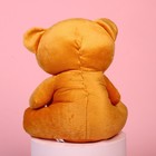Мягкая игрушка «Люблю», медведь, цвета МИКС - Фото 4
