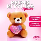 Мягкая игрушка «Моя любовь», медведь, цвета МИКС - фото 656759