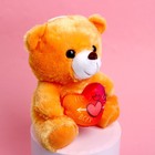 Мягкая игрушка «Ты лучше всех»», медведь, цвета МИКС - Фото 3