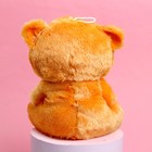 Мягкая игрушка «Ты лучше всех»», медведь, цвета МИКС - Фото 4