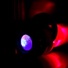 Проектор-фонарик «Милой принцессе», 3 слайда, 24 картинки - Фото 5